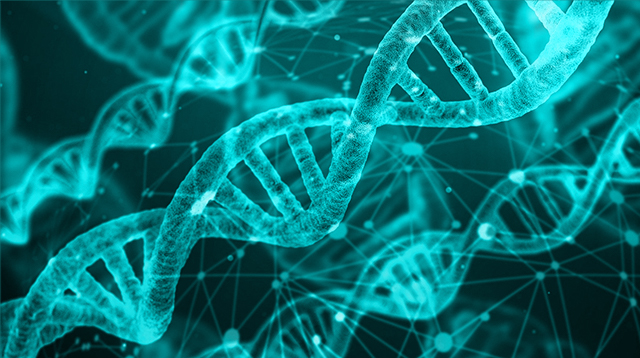 dna-edit2